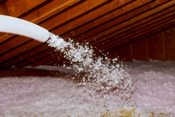 Best Specialty Insulation in Stockton, MO