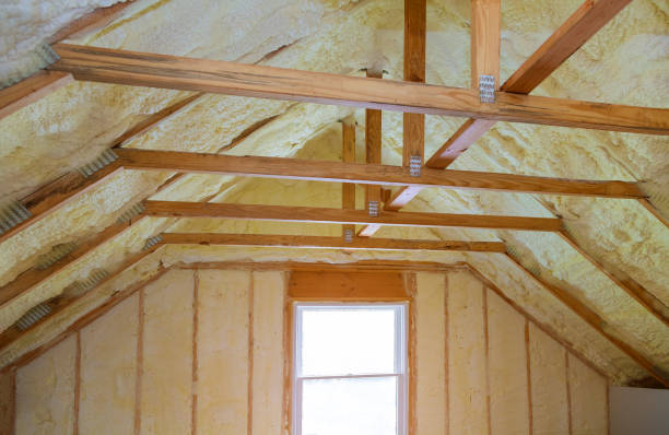 Best Residential Insulation in Stockton, MO